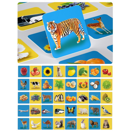 Carduri Mari educative de stimulare vizuală Animale Poze reale Onshine