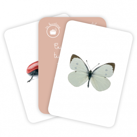 Carti de joc Montessori - Insecte din România