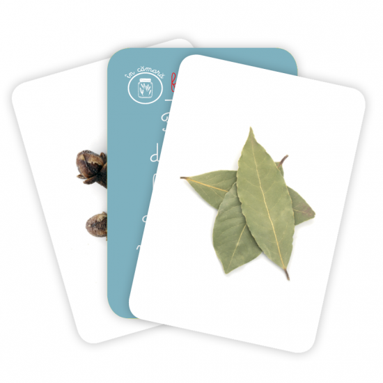 Carti de joc Montessori/Lumea plantelor